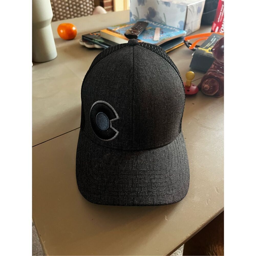 YoColorado Monochromatic Gray Trucker Snap Back Hat Cap EUC